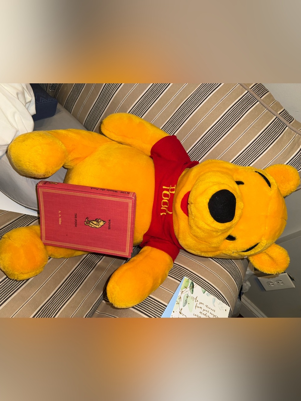 Winnie the Pooh by A,A. Milne book w/D24” Winnie the Pooh Plush - Picture 9 of 12